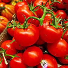 Fresh tomato
