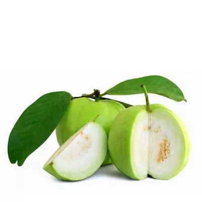 Guava Premium 